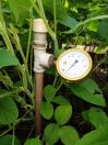 Manual traz metodologia para irrigação de pastagens no Arenito