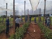 IDR-Paraná inova no uso de metodologia para capacitação técnica em agricultura orgânica