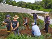 IDR-Paraná inova no uso de metodologia para capacitação técnica em agricultura orgânica