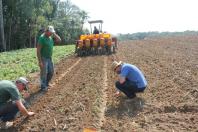 Plantio de feijão está quase concluído e intensifica ações do Projeto Centro-Sul de Feijão e Milho