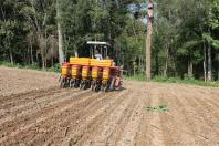 Plantio de feijão está quase concluído e intensifica ações do Projeto Centro-Sul de Feijão e Milho