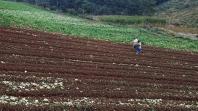 Prêmio Orgulho da Terra cria vitrine para as melhores práticas do agronegócio paranaense