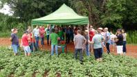 IDR-Paraná e Embrapa mostram resultados de tecnologias agrícolas no Giro Técnico da Soja