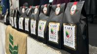 Encontro na ExpoLondrina analisa desafios da cafeicultura paranaense