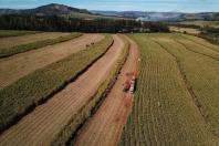 Com Plano Estadual do Clima, sistema de agricultura do Paraná assume desafios ambientais
