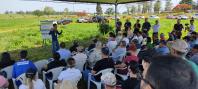 IDR-Paraná mostra novas tecnologias na III Feira Internacional da Mandioca, em Paranavaí