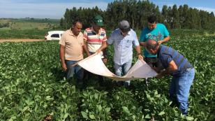 IDR-Paraná apresenta resultados da adoção de boas práticas na produção da soja e inicia o Alerta Ferrugem