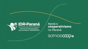 IDR-Paraná participa da 39ª Mercosuper