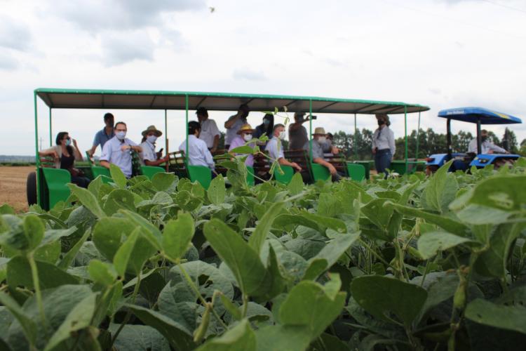 Mesorregião Oeste terá treinamento sobre destinação de dejetos de animais