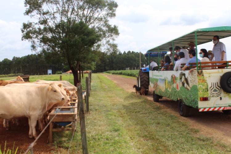 Mesorregião Oeste terá treinamento sobre destinação de dejetos de animais