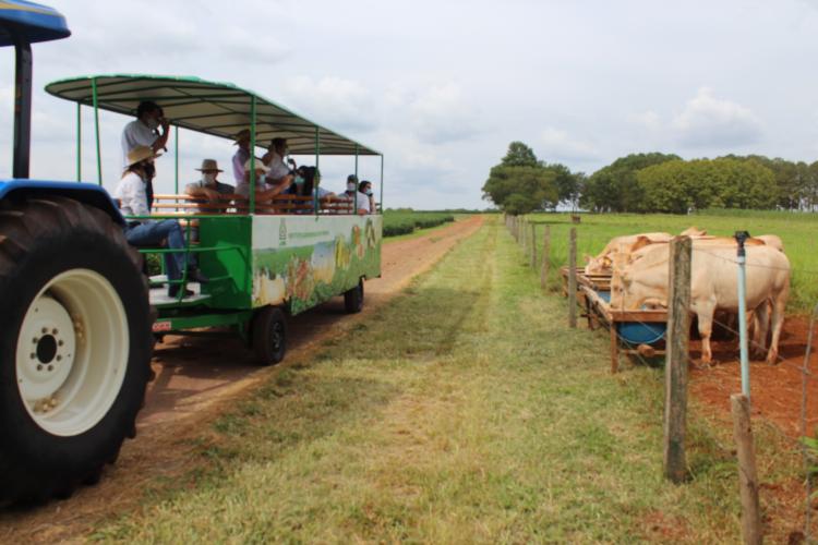 Mesorregião Oeste terá treinamento sobre destinação de dejetos de animais