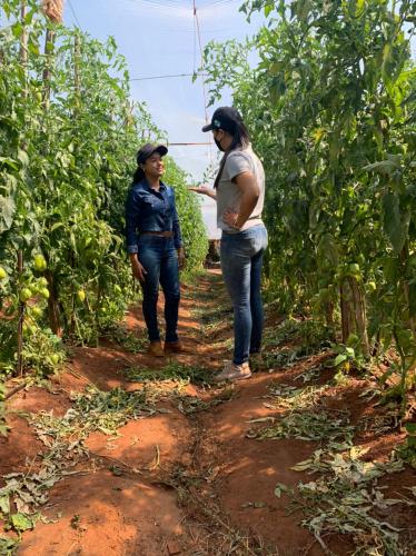 Mulheres Rurais: “Por mais difícil que seja a caminhada, não desista. É muito prazeroso ver o seu sonho realizado” - a luta de uma mulher rural assentada