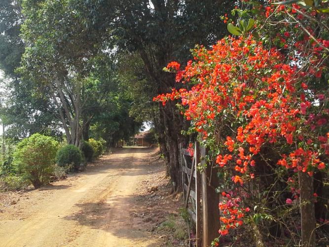 Lançado o circuito turístico Caminho dos Cafés das Mulheres
