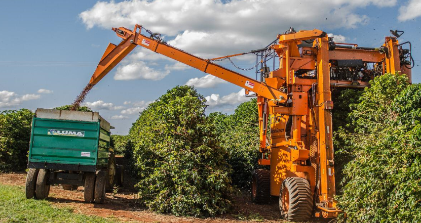 Ferramentas podem diminuir riscos da cafeicultura