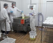 Produção de queijos no distrito de Paiquerê Londrina