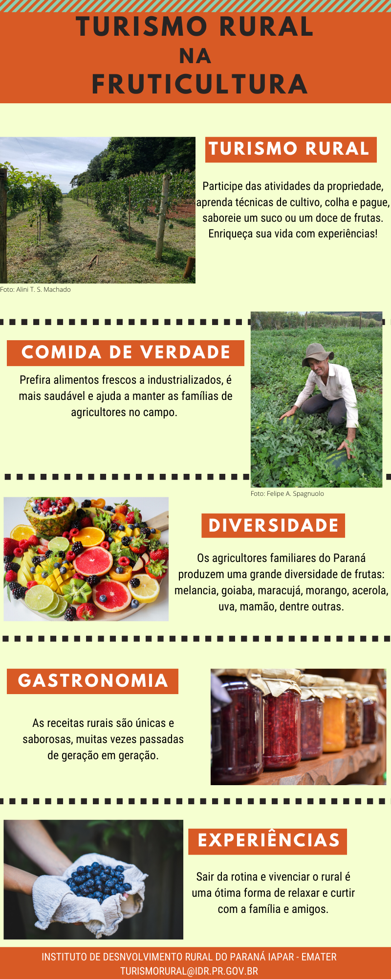 Infográfico Fruticultura