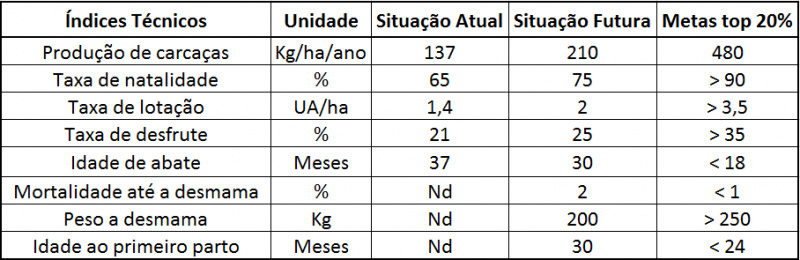Indices Técnicos Pecuária Moderna