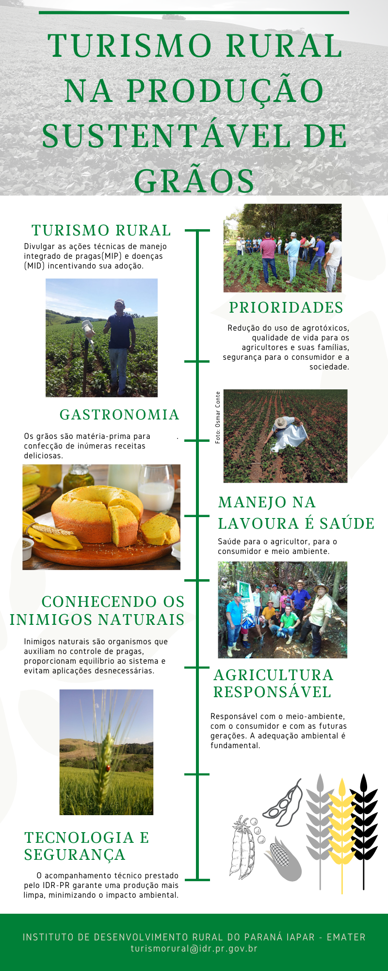 Infográfico Grãos - Produção Sustentável