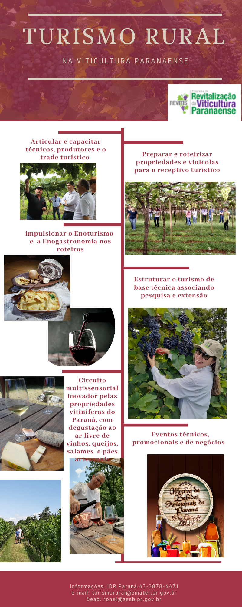 Infográfico Viticultura