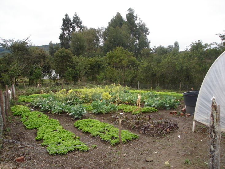 Horta quilombola