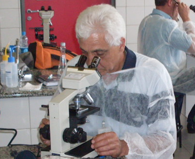 Leitura de lâminas de microscopia instalada no coletor 