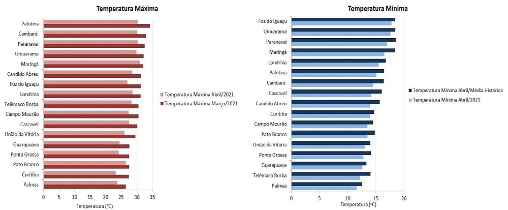 grafico