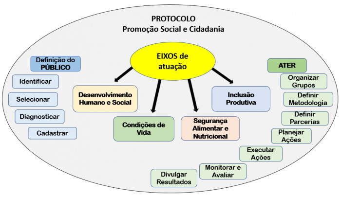 Protocolo e Eixos de Atuação