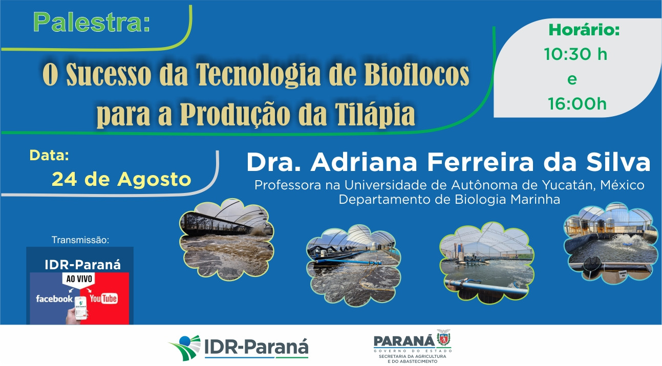 tilápia