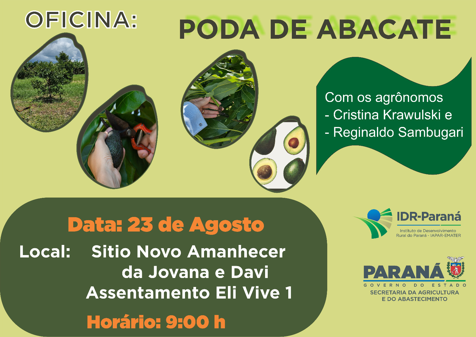 abacate