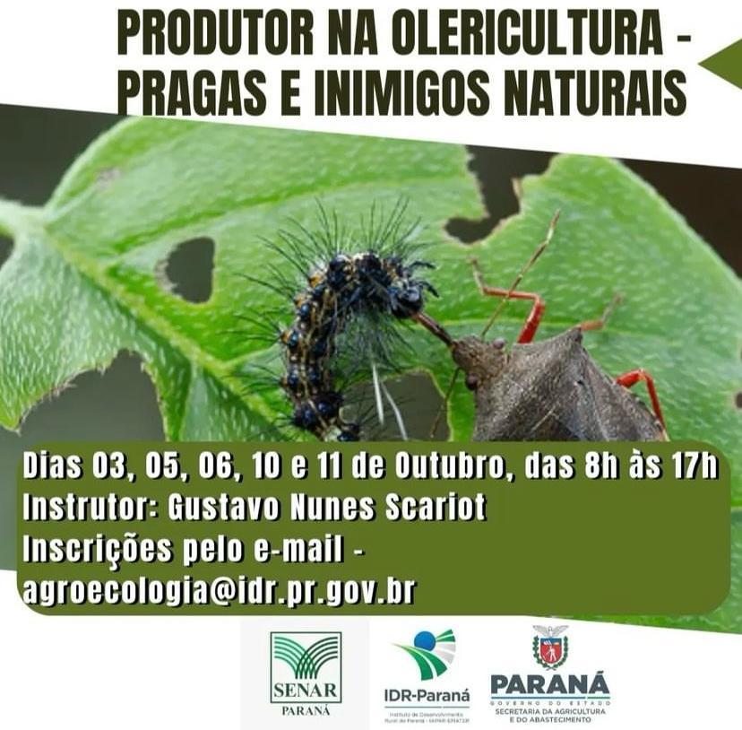 olericultura
