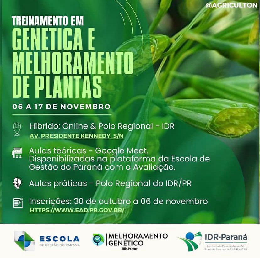 plantas