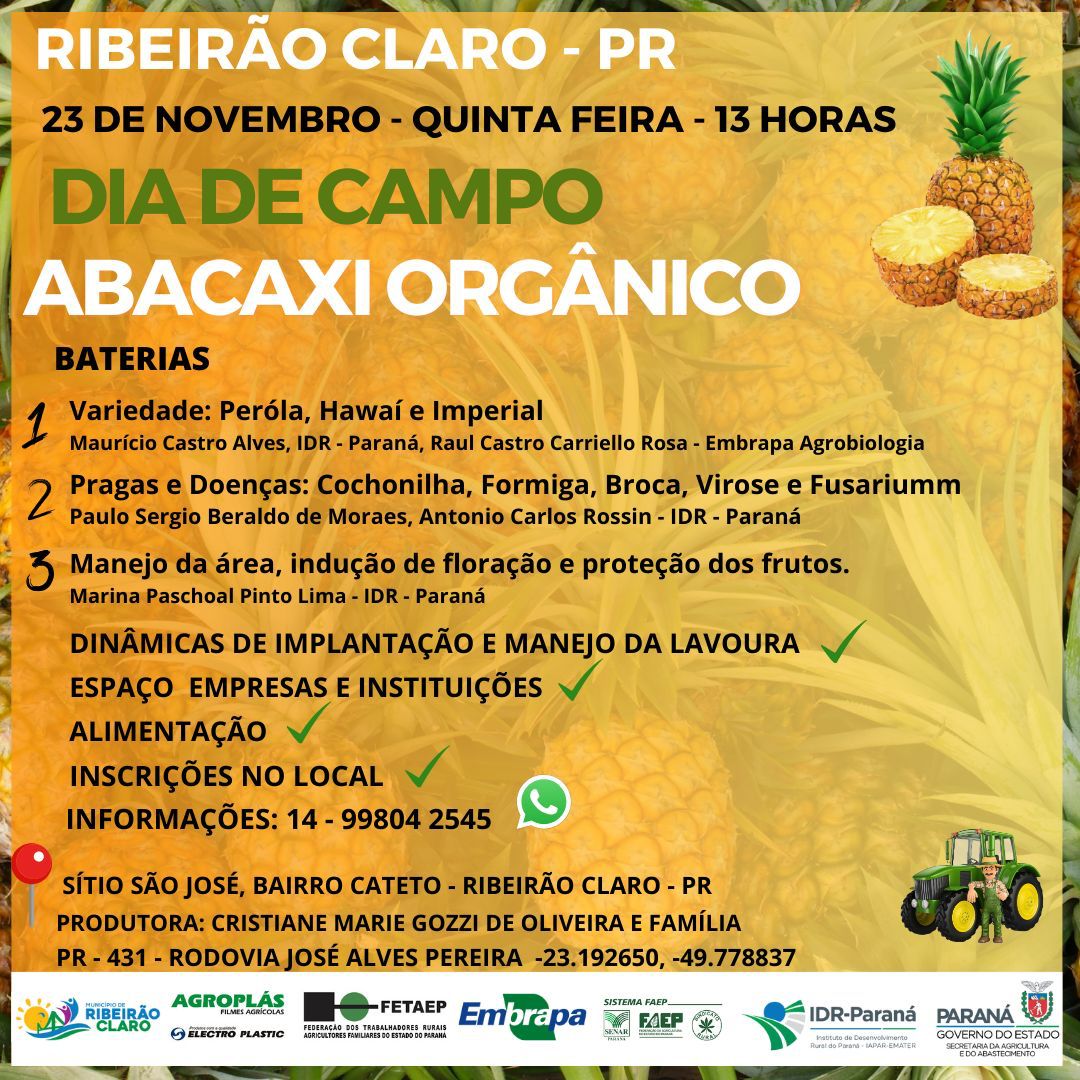 abacaxi