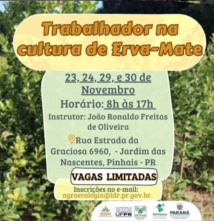 erva mate 