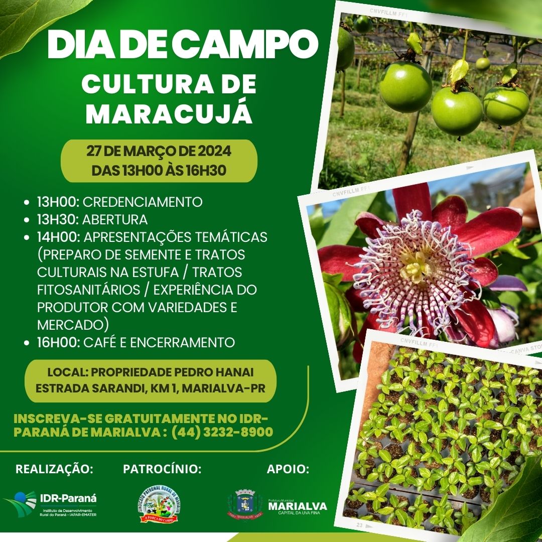 DIA DE CAMPO