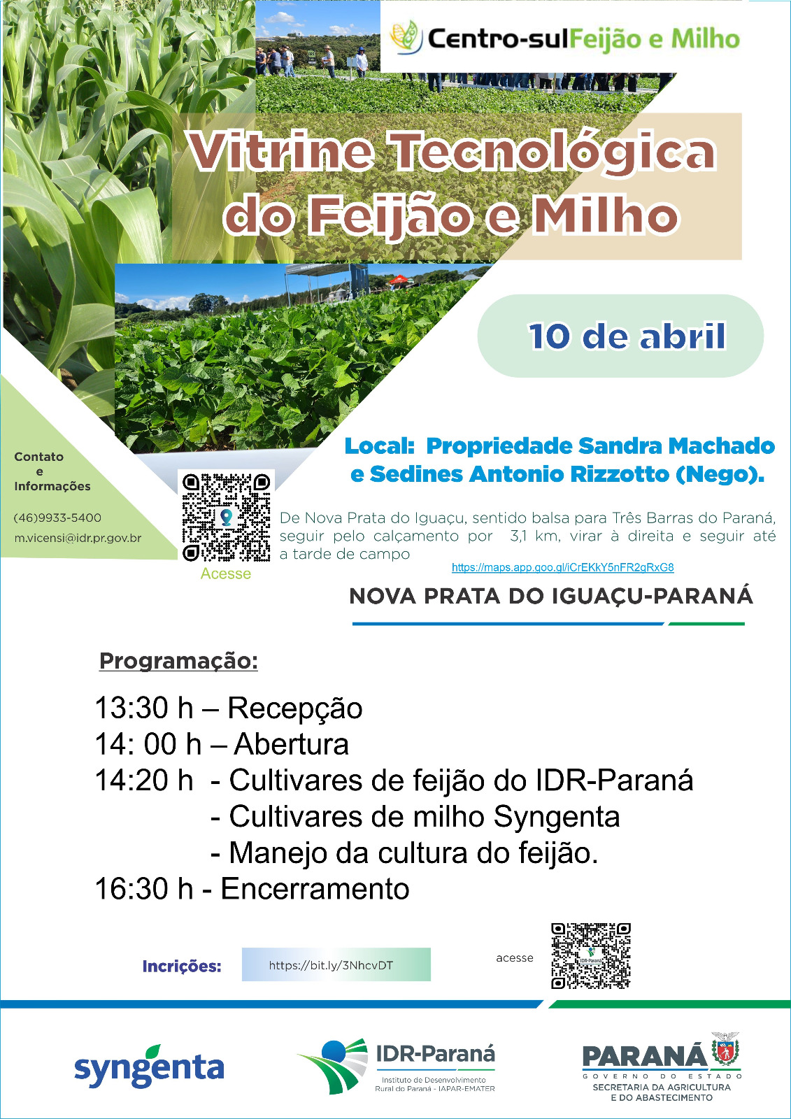 feijão e milho 