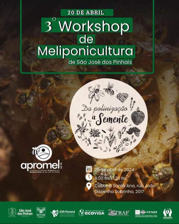 worshop de meliponicultura 