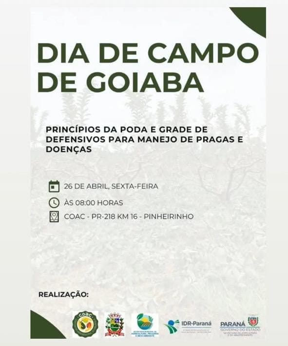 dia de campo de goiaba