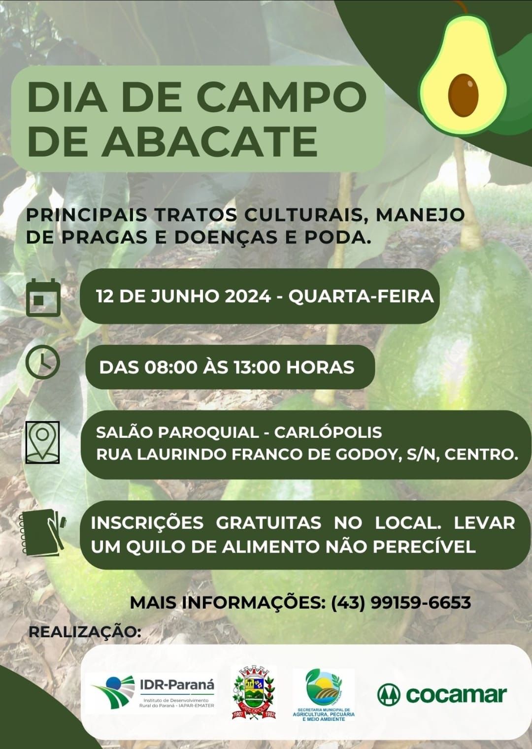 dia de campo de abacate