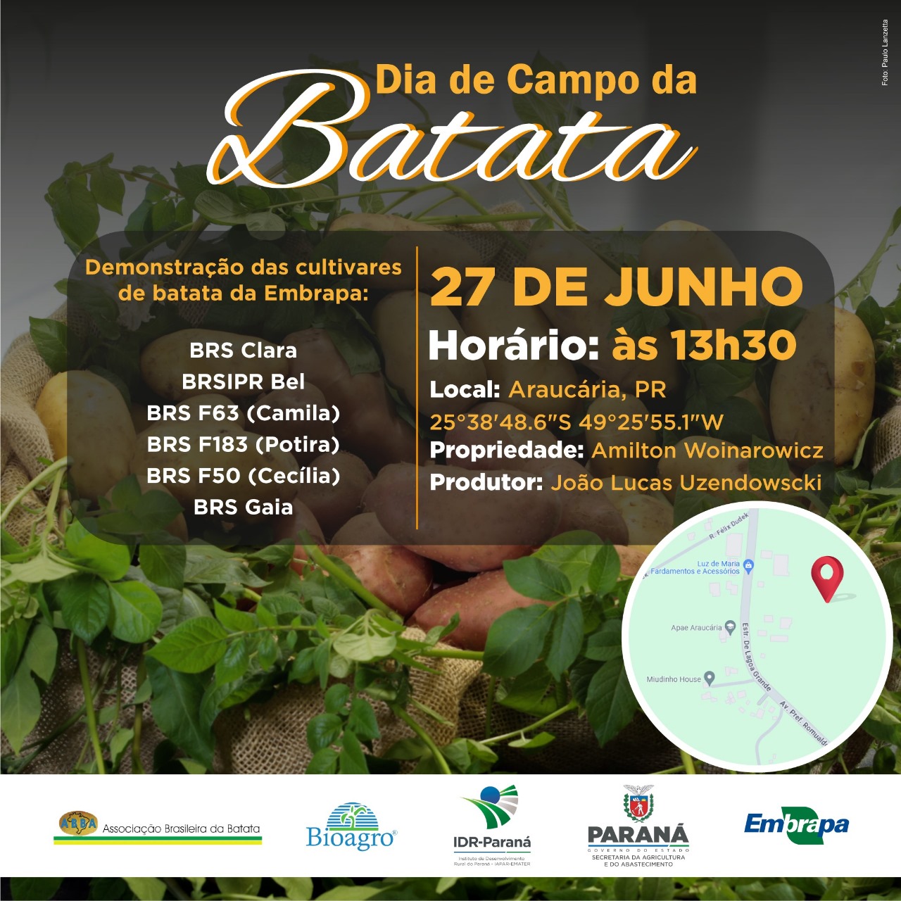 Dia de Campo de Batata 