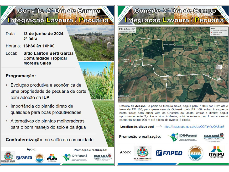 dia de campo