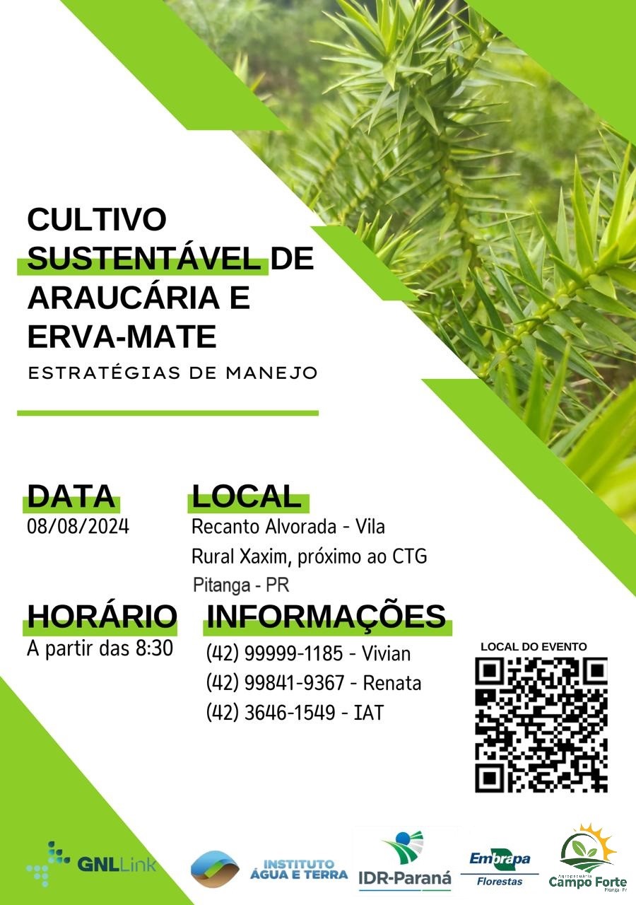 Cultivo Sustentável de araucária e erva mate