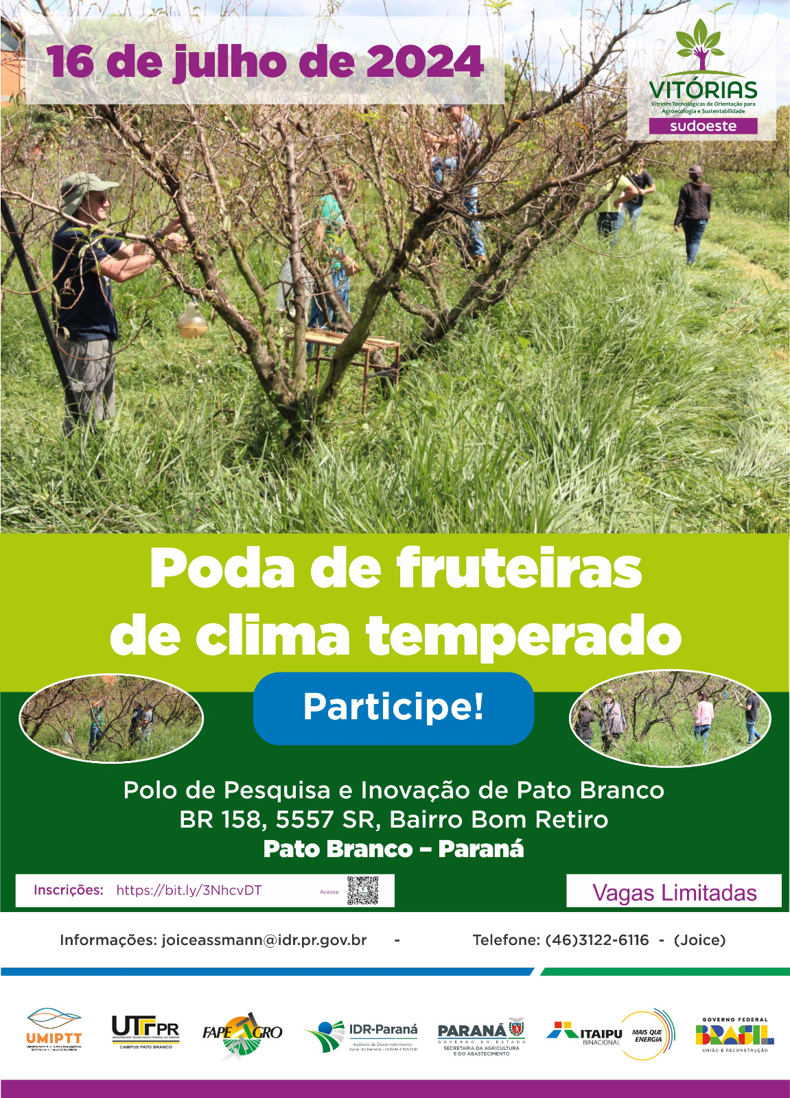 poda de fruteira 
