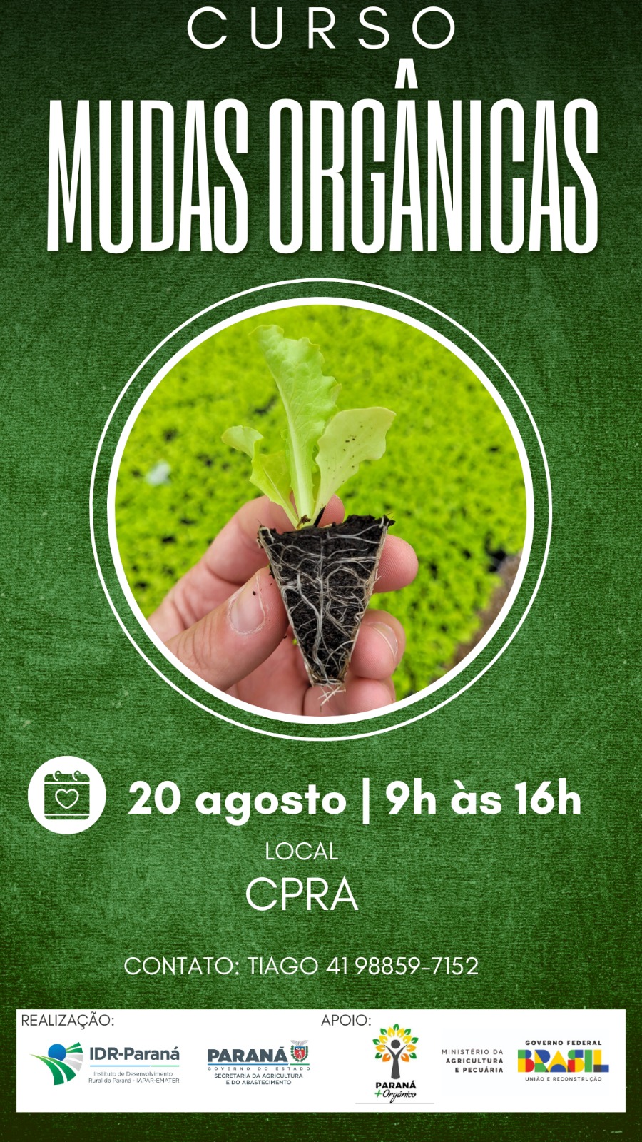 curso de mudas orgânicas 