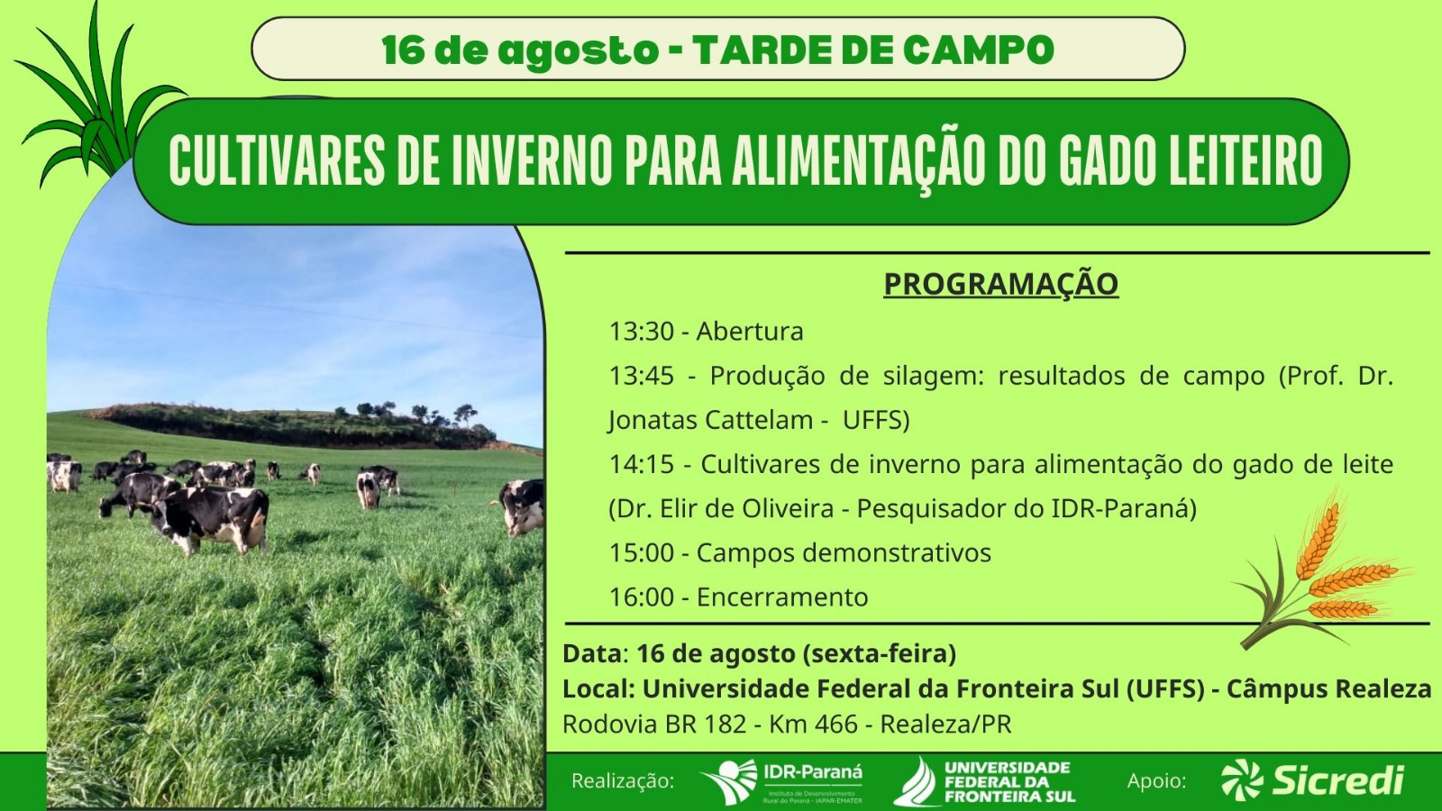 Tarde de Campo 