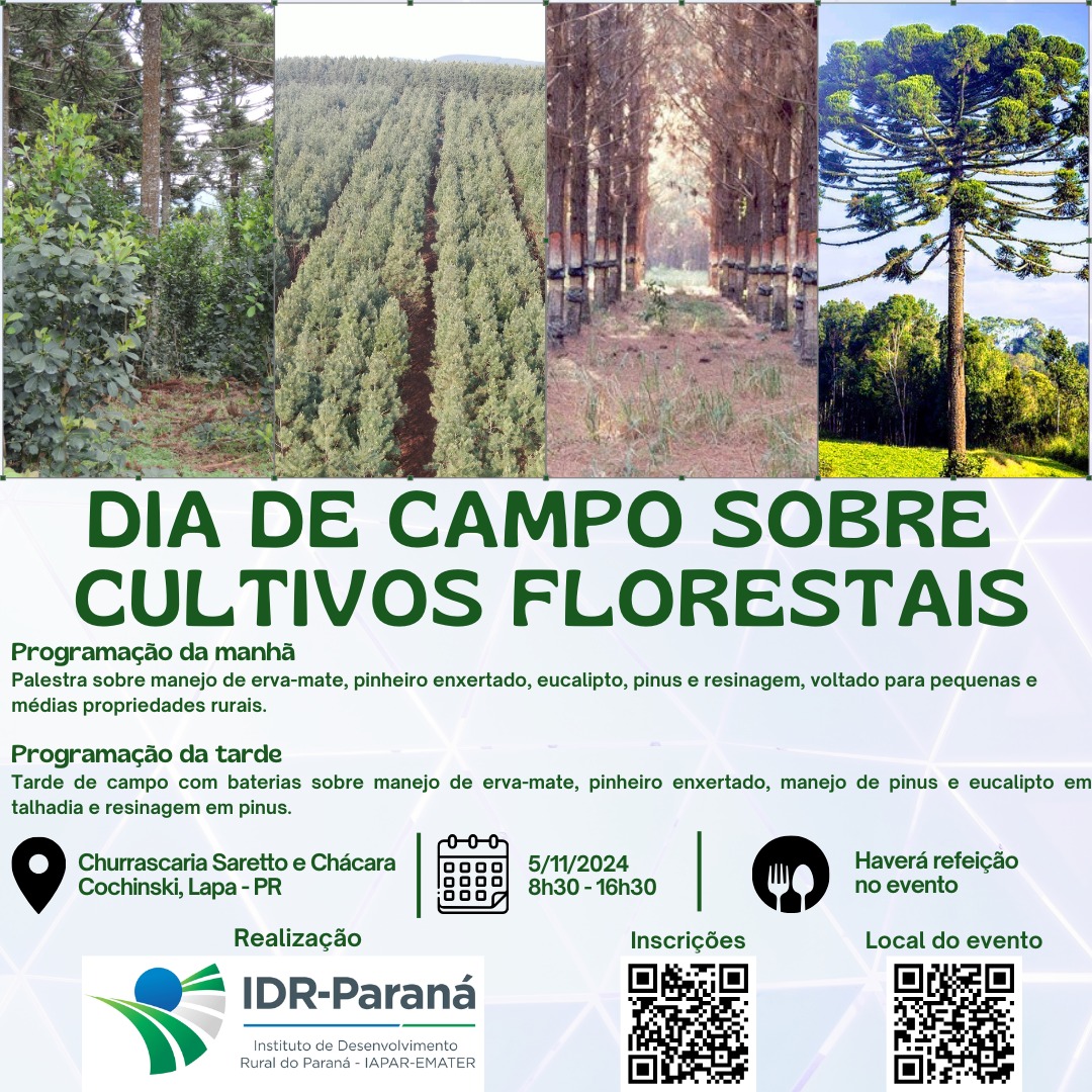 dia de campo