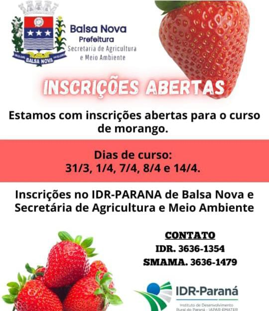 Curso: Cultivo de Morango em Substrato 