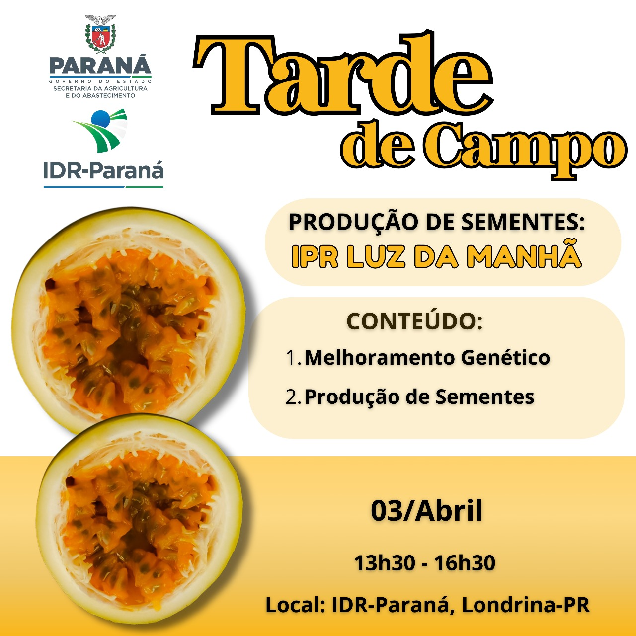Tarde de Campo: Produção de sementes - IPR Luz da Manhã