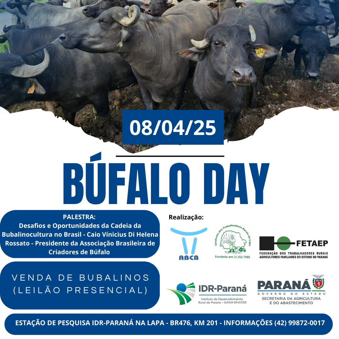 DESCARTE DE BUBALINOS - Búfalo Day 