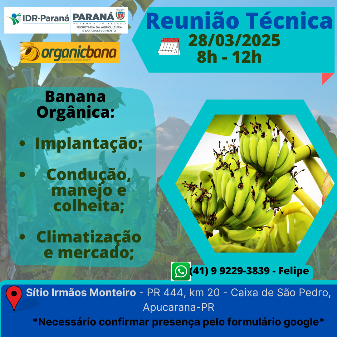Reunião Técnica sobre Banana Orgânica
