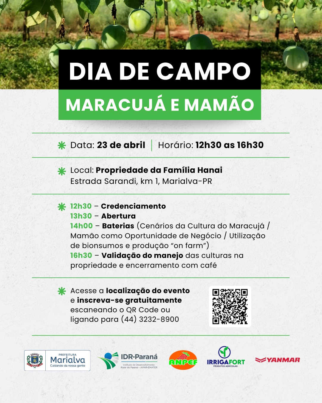 Dia de Campo - Maracujá e Mamão